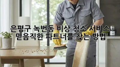 은평구 녹번동 비상 청소 서비스: 믿음직한 파트너를 찾는 방법