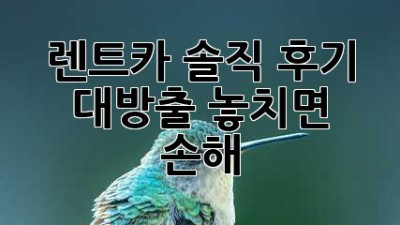 🚗 렌트카 솔직 후기 대방출! 놓치면 손해 💯