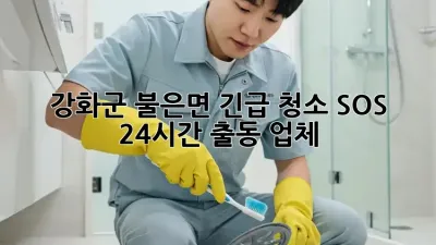 🚨 강화군 불은면 긴급 청소 SOS! 24시간 출동 업체 🚨