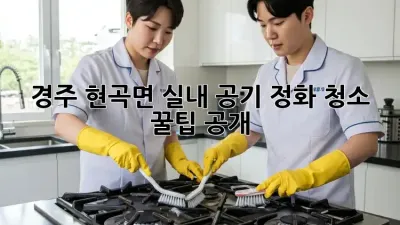 경주 현곡면🏡 실내 공기 정화 청소🧹 꿀팁 공개!