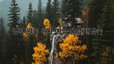 영천 원룸 이사 예약, 꿀팁 대방출!
