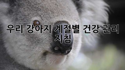 우리 강아지, 계절별 건강 관리 지침